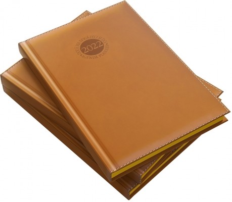 Agenda datata, Premium DeLuxe Amsterdam, format A5, margini aurii, maro - imagine 4